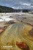 Yellowstone, Geysir