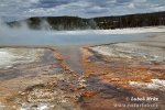 Yellowstone, Geysir