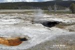 Yellowstone, Geysir