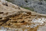 Yellowstone, Mammoth