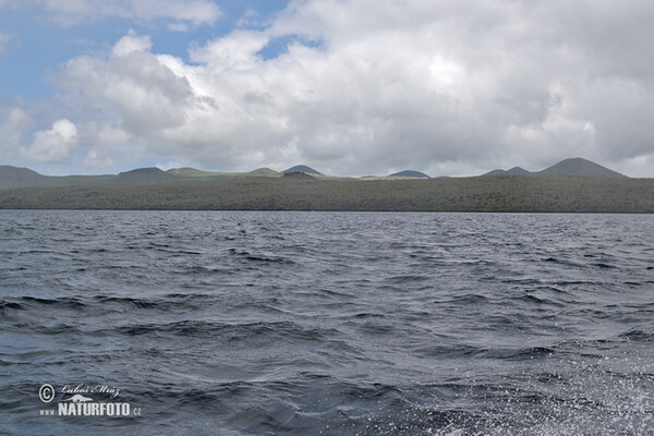 Galápagos (Galapagy)