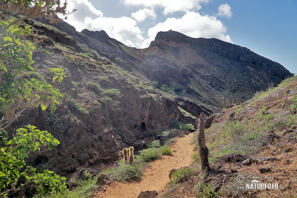 Galápagos (Galapagy)