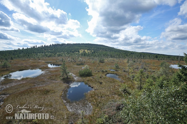 Jizerské hory Gebirge (Jiz)