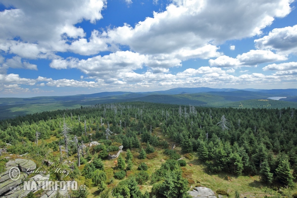 Jizerské hory Gebirge (Jiz)