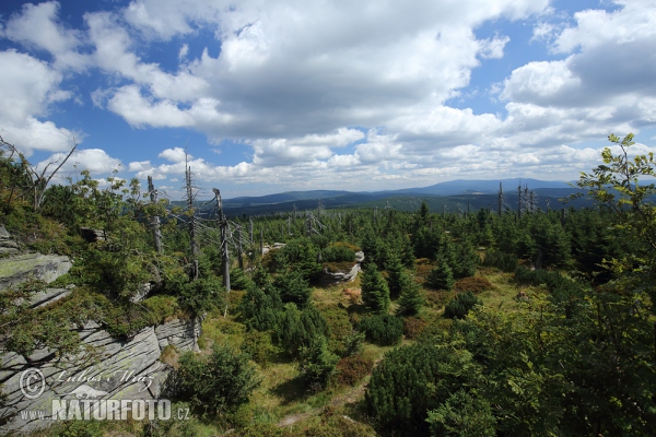 Jizerské hory Gebirge (Jiz)