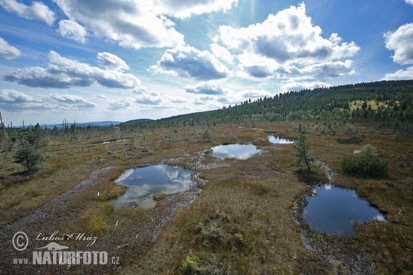 Jizerské hory Gebirge (Jiz)