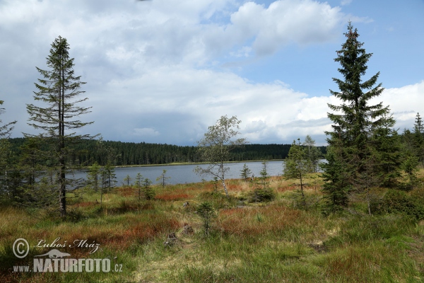 Jizerské hory Gebirge (Jiz)