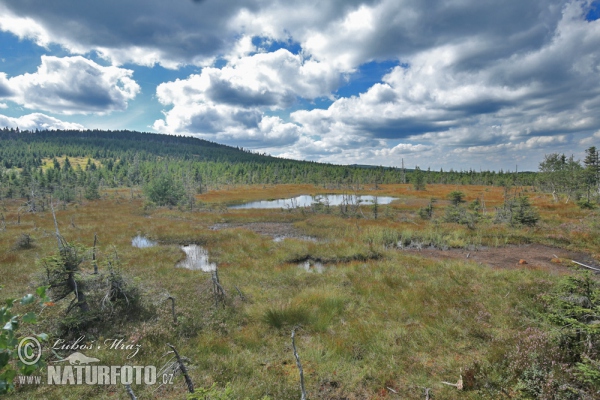 Jizerské hory Gebirge (Jiz)