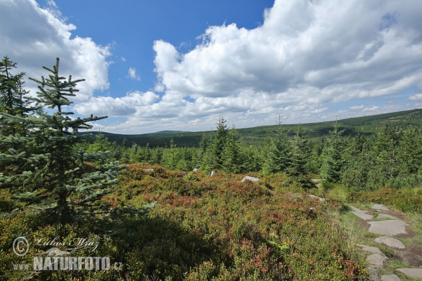 Jizerské hory Gebirge (Jiz)