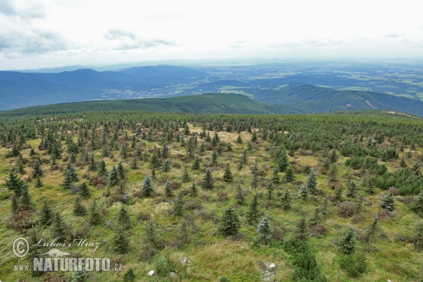 Jizerské hory Gebirge (Jiz)