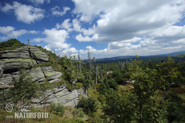 Jizerské hory Gebirge (Jiz)