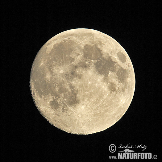 Mond - Vollmond (Luna 2)