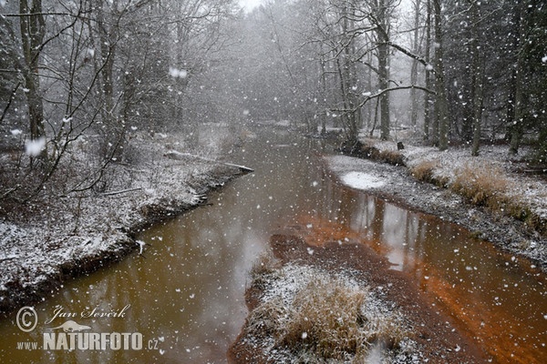 Alt Fluss Schneetreiben1 (Snowstorm)