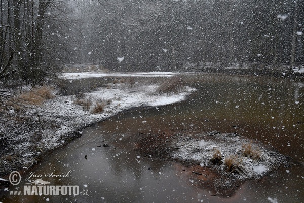 Alt Fluss Schneetreiben1 (Snowstorm)