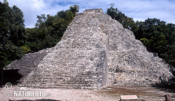 Coba (MEX)