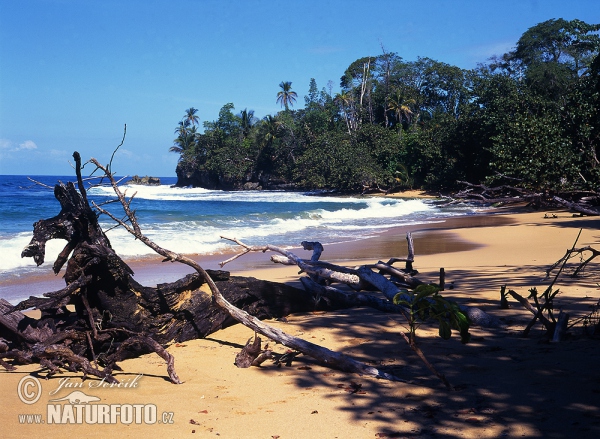 Colón Insel (PA)