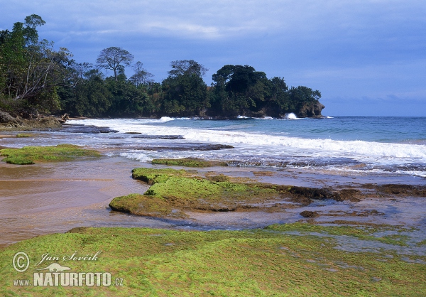 Colón Insel (PA)