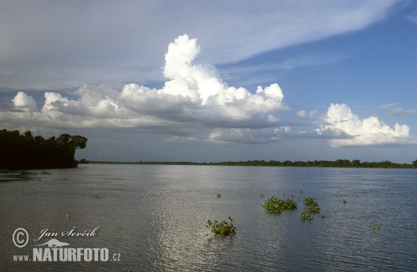 Delta Orinoko (VA)