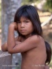 Embera Kind