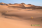 Erg Chebbi, Wüste