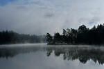 Morgennebel auf dem Teich