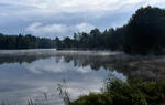 Morgennebel auf dem Teich