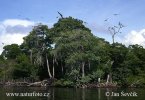 Morrocoy National Park