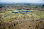 Novořecké Sümpfe, Natur Reservation