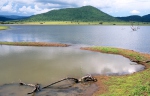 Pilanesberg NP, Mankwe