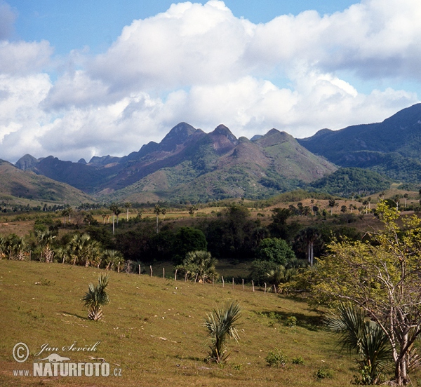 Escambray Gebirge (C)