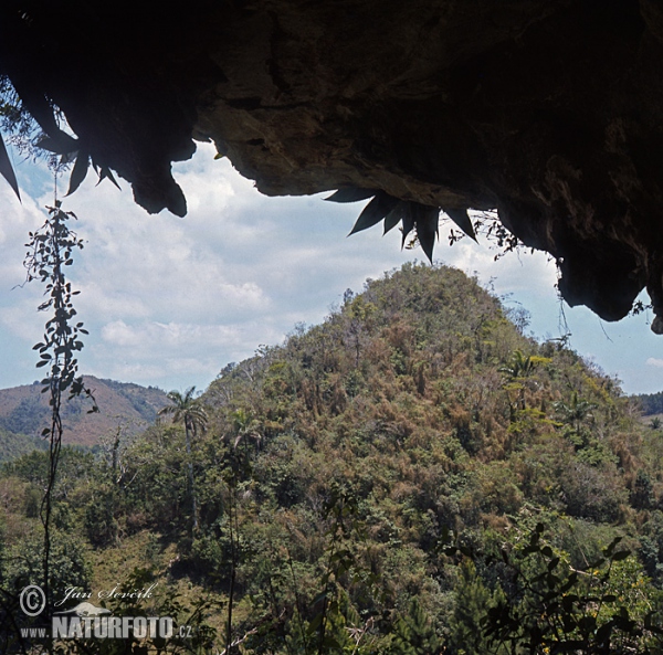 Escambray Gebirge (C)