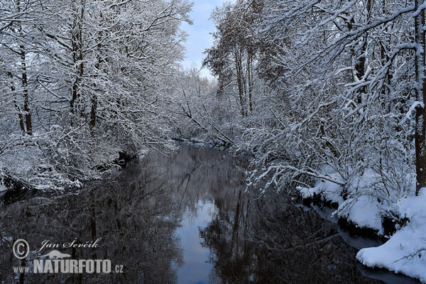 Fliss Nová řeka (Nova reka)