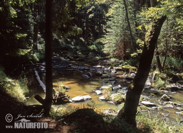 Fluss Dračice (Tre)