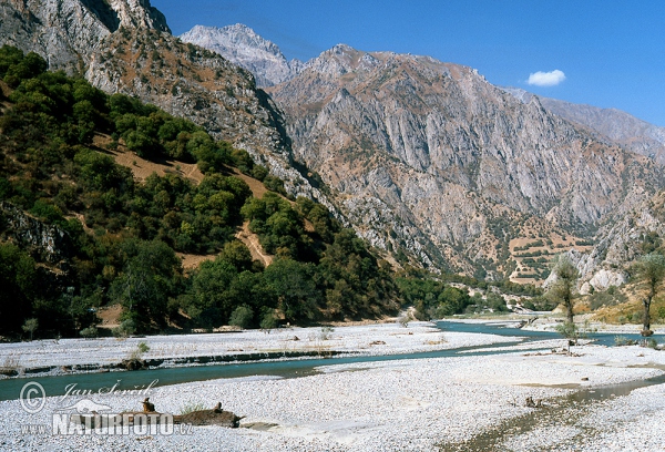 Gissar Gebirge (TAD)