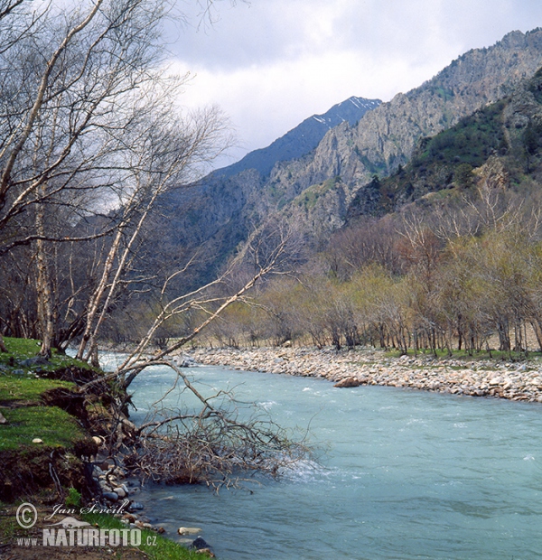 Gissar Gebirge (TAD)