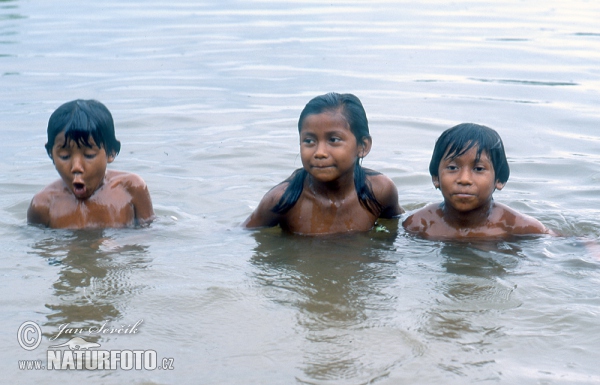 Kinder im Orinoco (People)