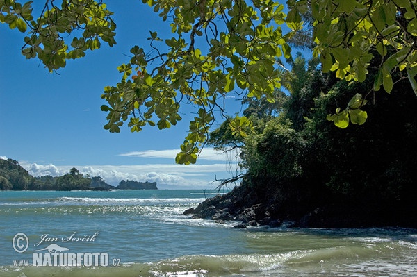 Küste Pacific, National Park Manuel Antonio (CR)