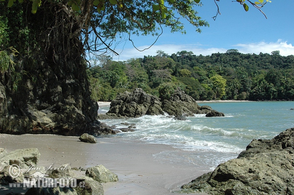 Küste Pacific, National Park Manuel Antonio (CR)