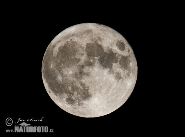 Mond - Vollmond (Luna 2)