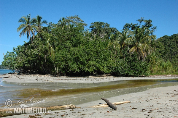 National park Cahuita (CR)