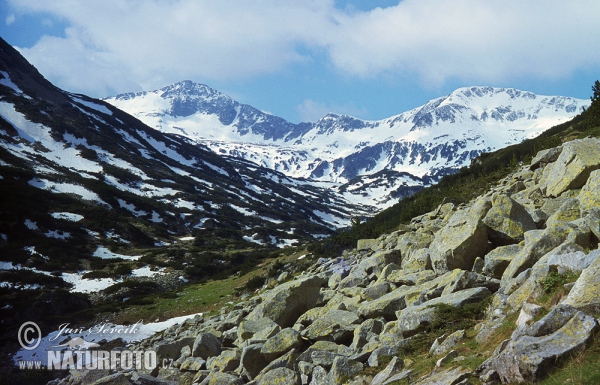 Nationalpark Pirin Gebirge (BG)