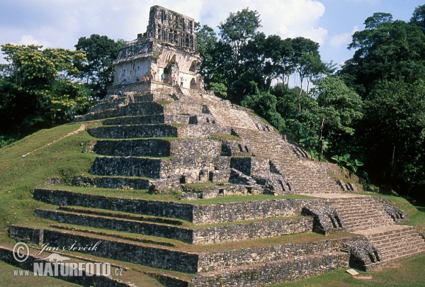 Palenque (MEX)