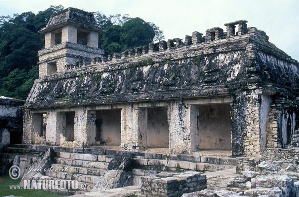 Palenque (MEX)