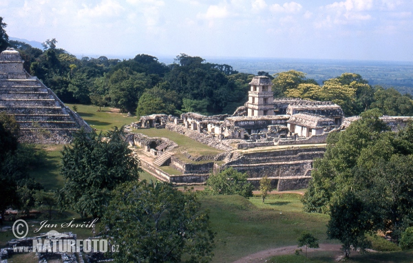 Palenque (MEX)