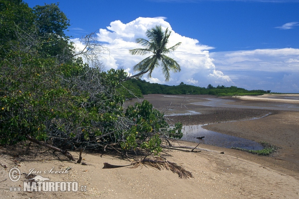 Peninsula de Paria (VA)