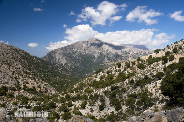 Psiloritis gebirge (GR)