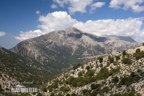 Psiloritis gebirge (GR)