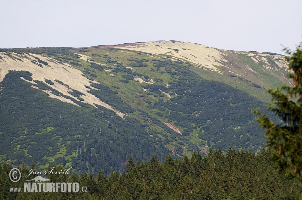 Riesengebirge (Krk)