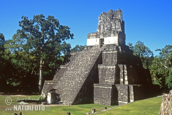 Ruinen der Stadt Tikal (GCA)