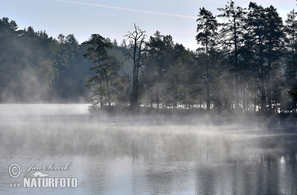 Rybnik Nové Jezero (Rybnik Nove Jezero)